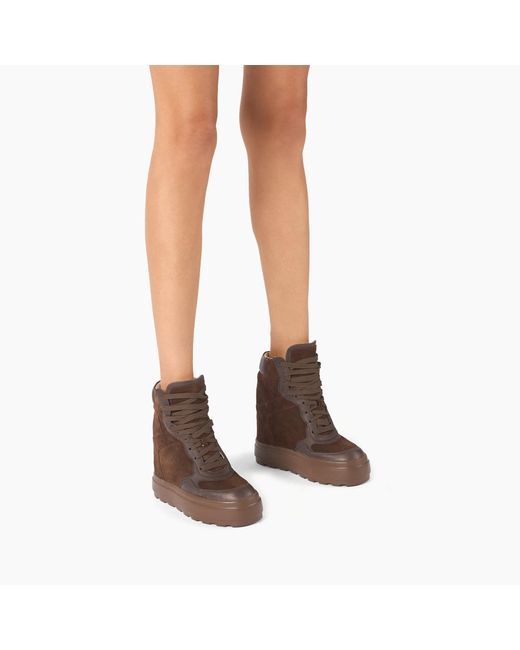 Casadei Brown High Top Sneaker