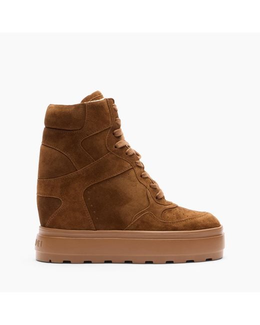 Casadei Brown High Top Sneaker
