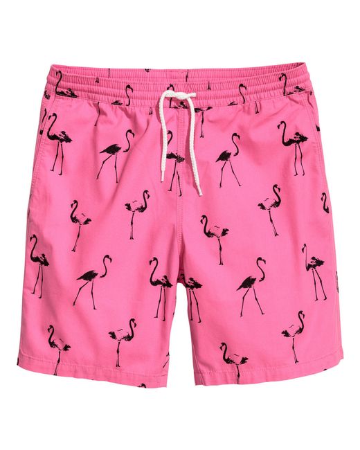 H&M Cotton Shorts in Pink for Men | Lyst