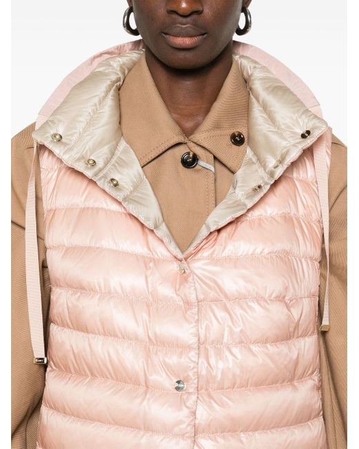 Cappe Reversibile di Herno in Pink