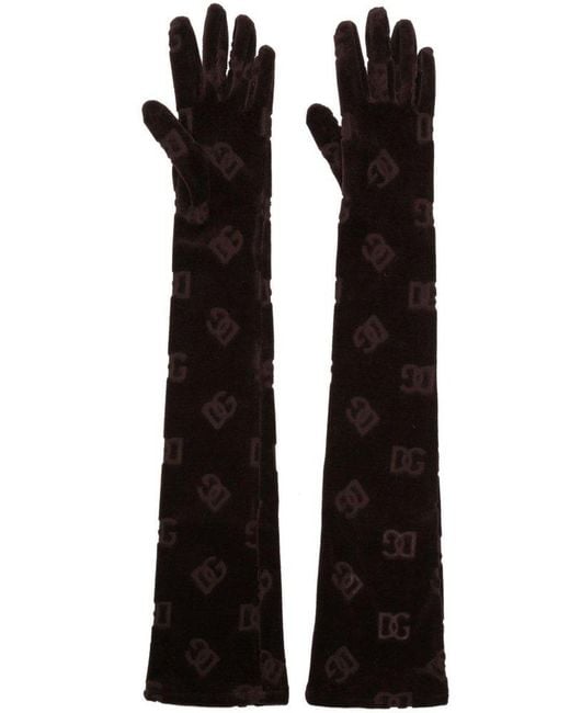 Dolce & Gabbana Black Logo-debossed Cotton Gloves