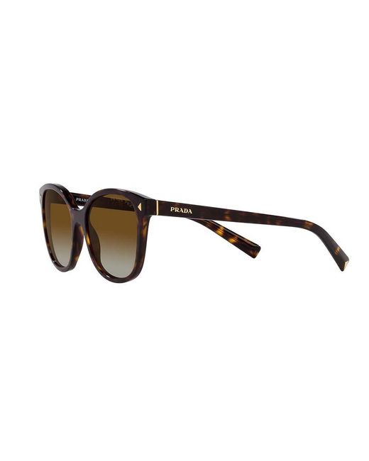 Prada Brown Round Frame Sunglasses