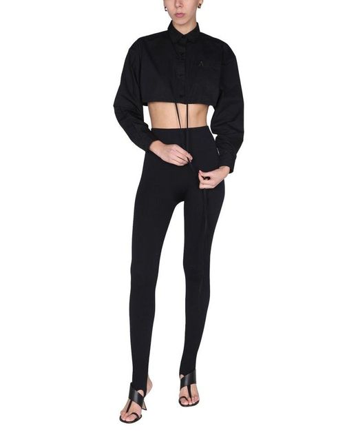 ANDREADAMO Black Stylish Cropped Blouse