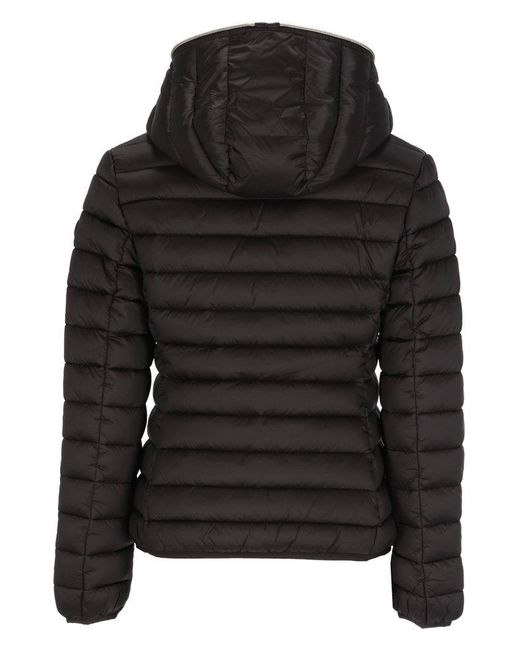 Save The Duck Black Hooded Puffer Jacket