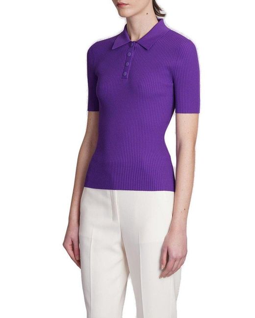 Theory Purple Short Sleeved Ribbed-knitted Polo Shirt