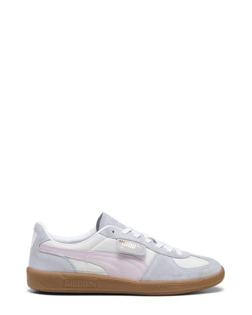 PUMA White Palermo Og Lace-up Sneakers
