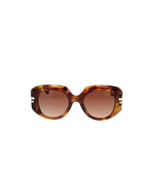 Chloé Brown Oversized Frame Sunglasses