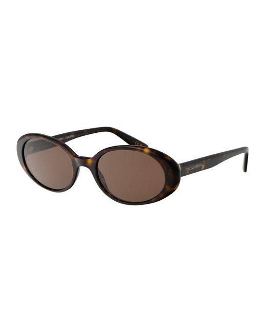 Dolce & Gabbana Brown Sunglasses