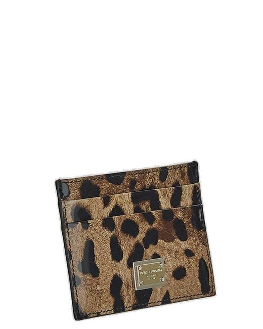 Dolce & Gabbana Gray Leopard-Print Card Holder