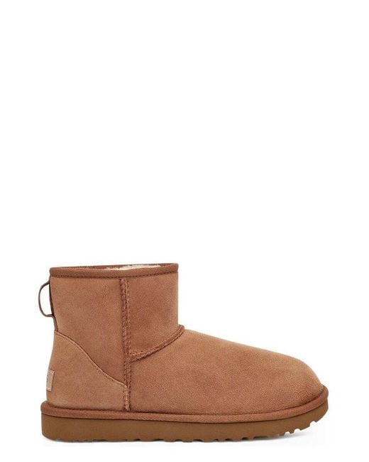 Ugg Brown Classic Mini Ii Ankle Boots