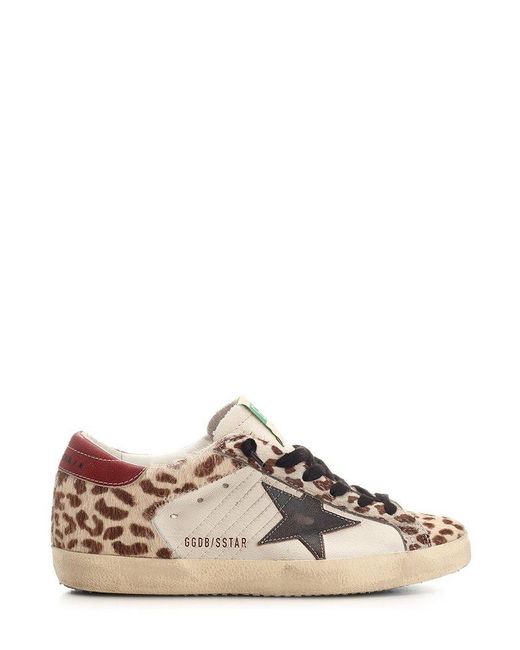Golden Goose Deluxe Brand Brown Leopard Printed Low-top Sneakers
