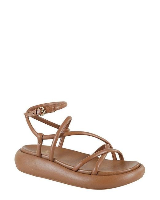 Ash Brown Vice Ankle Strap Sandals