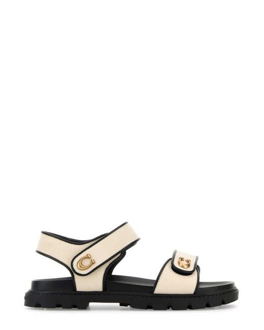 COACH Black Brynn Logo-Plaque Sandals