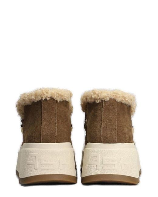 Ash mitsouko shearling sneaker booties sales