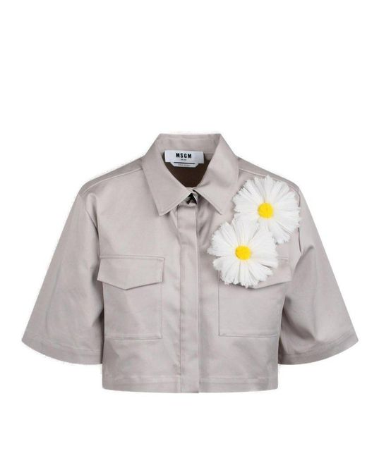 MSGM Gray Floral Detailed Cropped Shirt