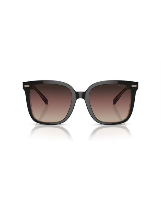 COACH Black Hc8381u Universal Fit Sunglasses