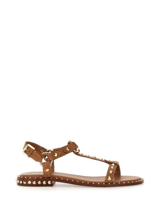 Ash Brown Patsy Stud-Embellished Almond-Toe Sandals