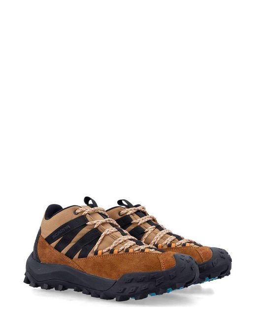 SCARPA Brown Rove Trail Sneakers for men