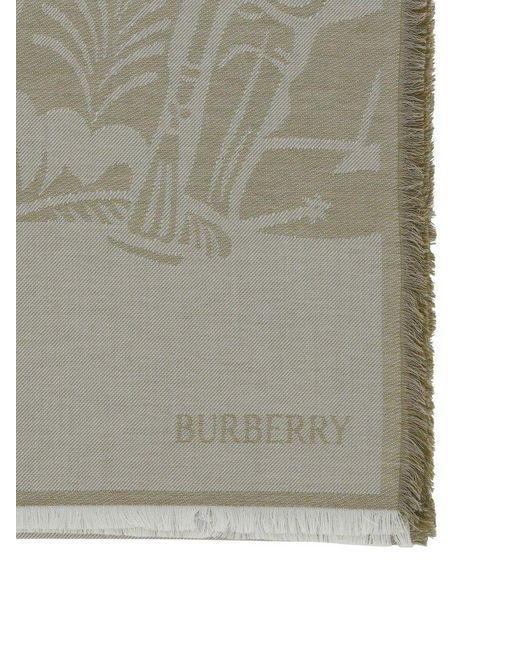 Burberry Gray Scarves