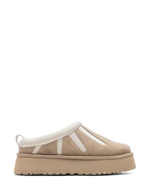 Ugg Brown Tazz Sunwave Slippers