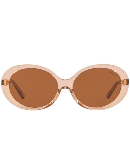 COACH Oval Frame Sunglasses in Black Lyst