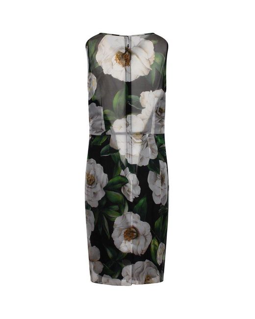Dolce & Gabbana Multicolor Dolce & Gabbana Floral Print Dress