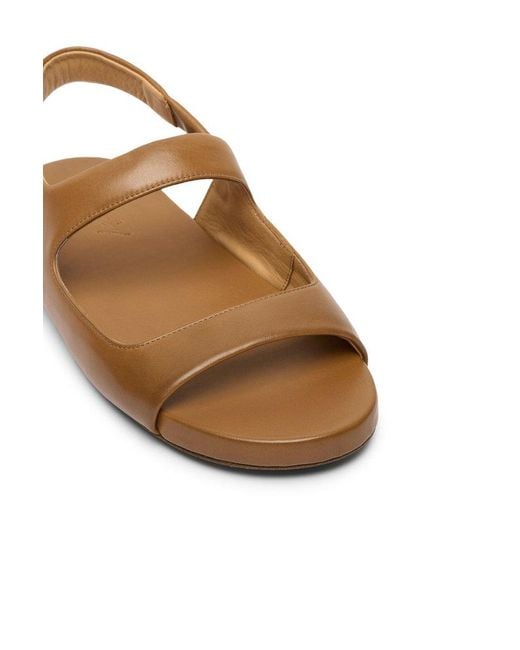 Marsèll Brown Spanciata Sandals