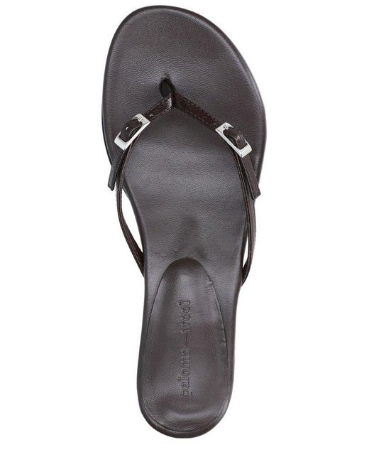 Paloma Wool Mica Buckle Detailed Sandals in Black | Lyst Canada