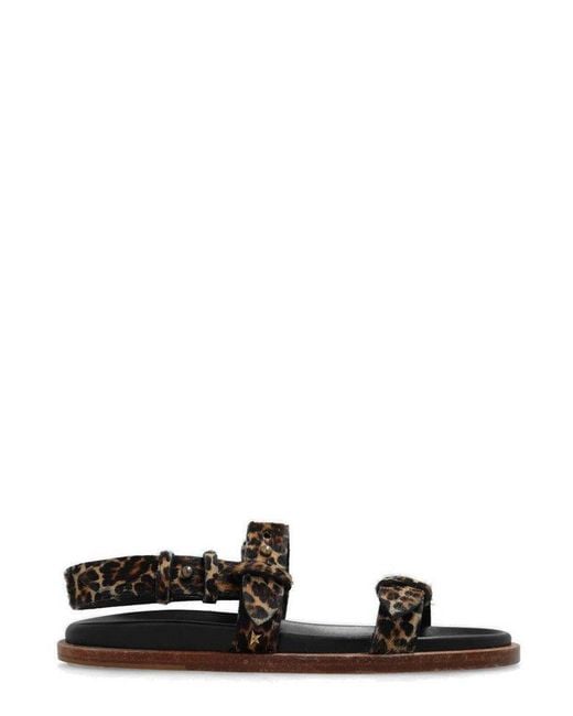 Golden Goose Deluxe Brand Black Leopard-printed Open-toe Sandals
