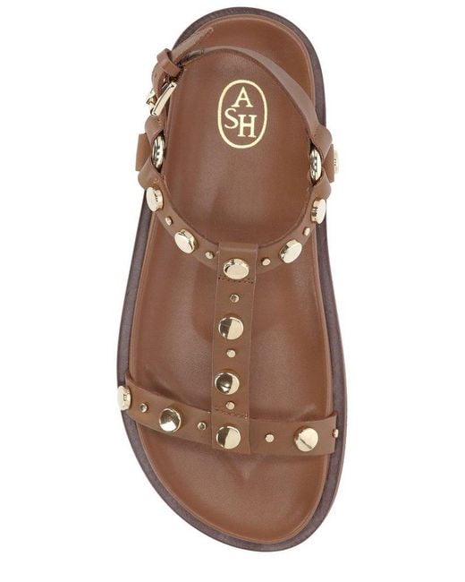 Ash Brown Stud Embellished Open-Toe Sandals