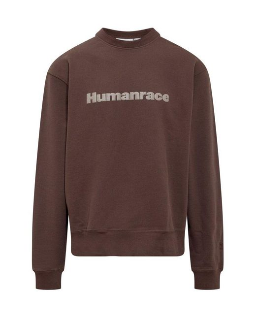Adidas Originals Brown X Pharrell Williams Crewneck Humanrace Sweater