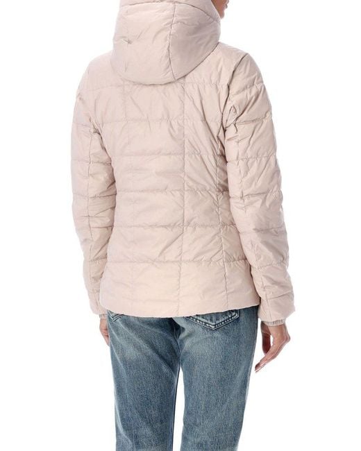 Canada Goose Natural Abbott Slim Quilted Down Hoodie Jacket