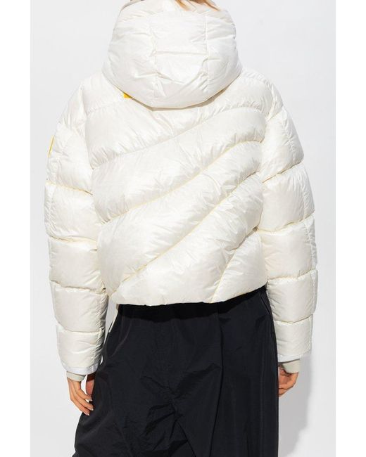 pyer moss puffer