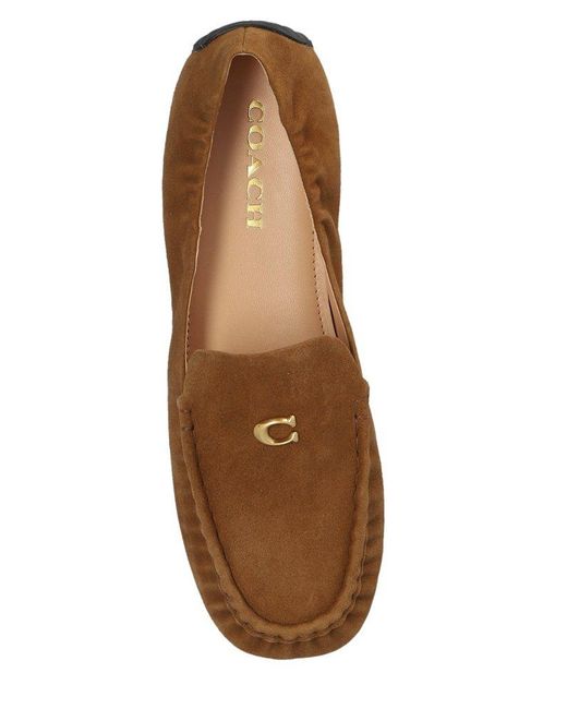 COACH Brown Leather Shoes,