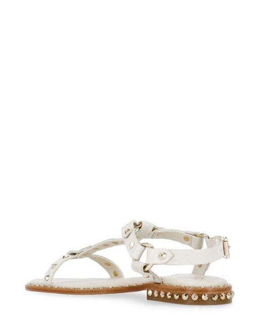 Ash White Patsy Stud-embellished Almond-toe Sandals