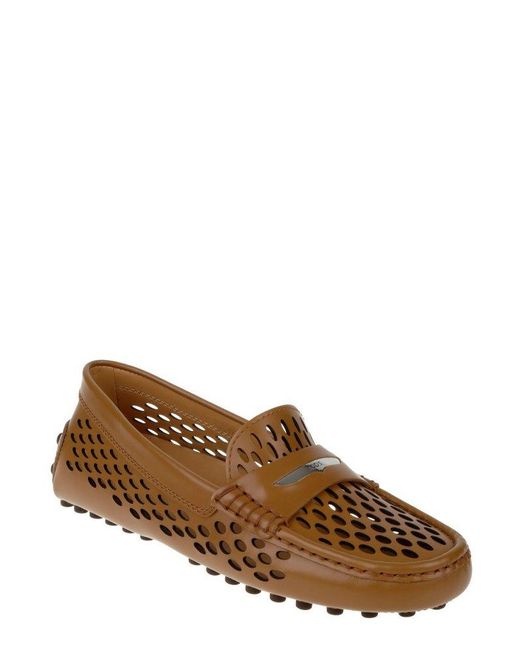 Tod's Brown Logo Engraved Perforated Loafers