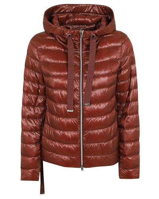 Herno Brown Quilted Hooded Coat