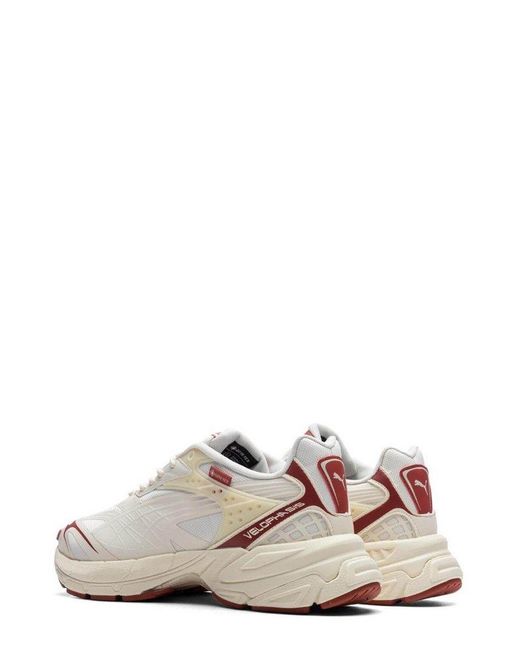 PUMA White Velophasis Gorp Gtx Low-Top Sneakers for men