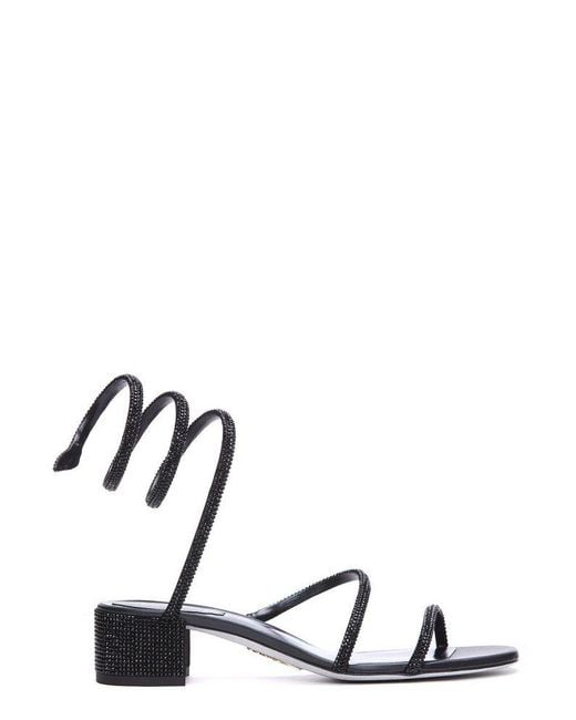 Rene Caovilla Black René Caovilla Cleo Embellished Block-heeled Sandals