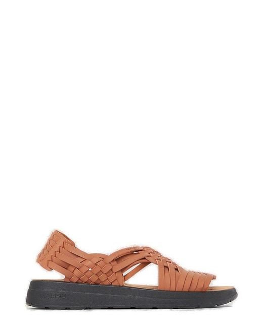 Malibu Sandals Brown Canyon Sandals for men
