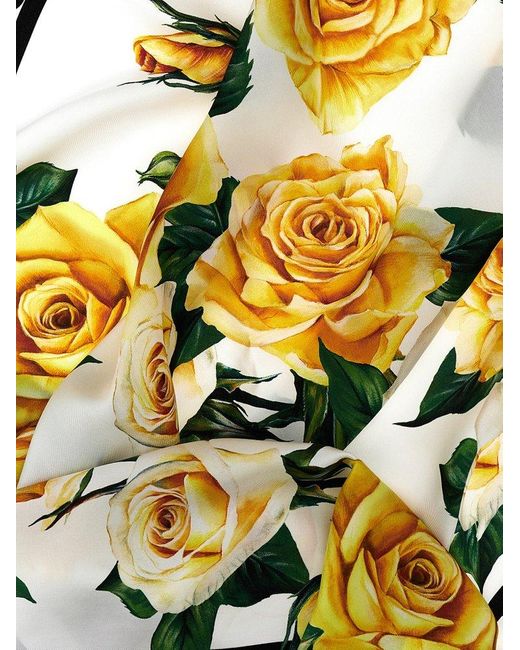 Dolce & Gabbana White 'Rose Gialle' Scarf