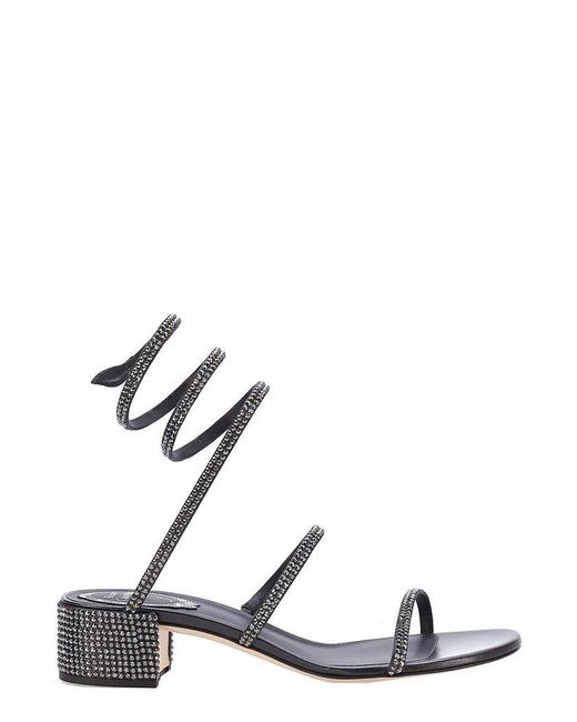 rene caovilla cleo black