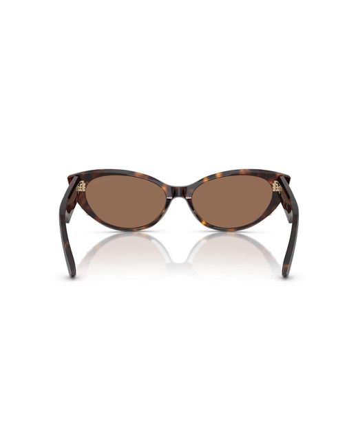 Jimmy Choo Brown Cat-Eye Frame Sunglasses