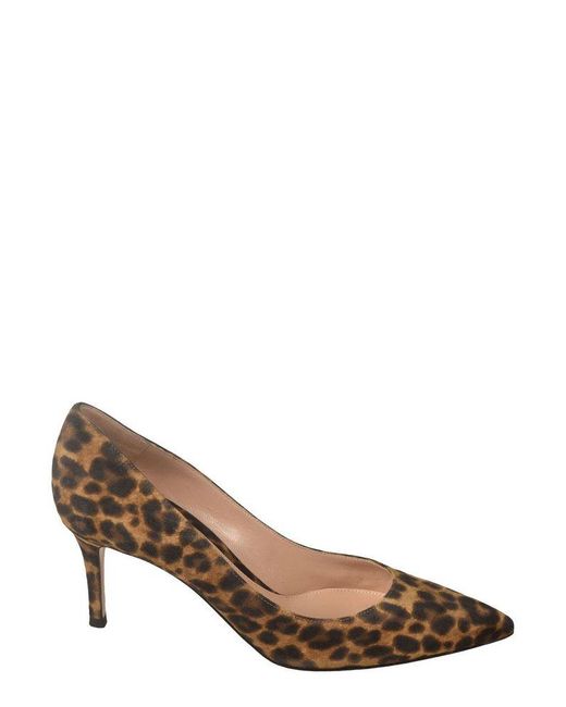 Gianvito Rossi Brown Leopard Printed Pointed-toe Pumps
