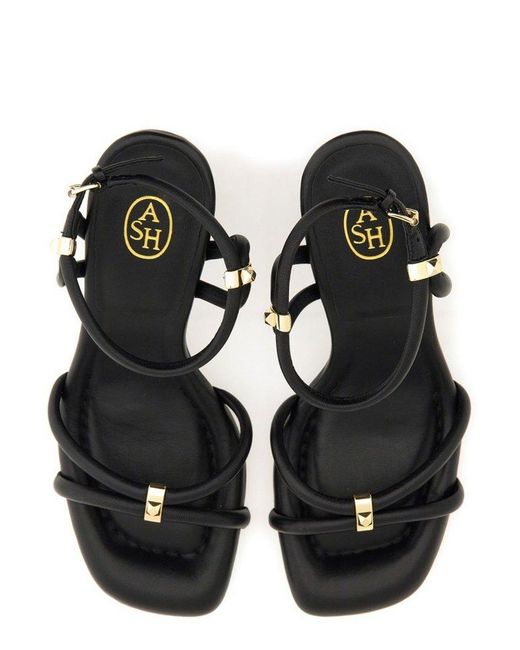 Ash Black Lola Stud-embellished Sandals