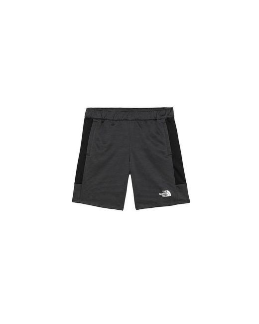 Mens north face shop fleece shorts