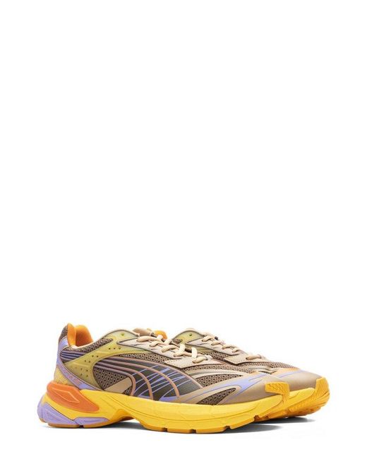 PUMA Multicolor Velophasis Low-Top Sneakers for men