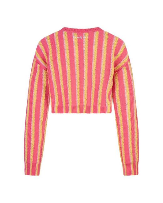 Marni Red And Striped Knitted Crop Pullover