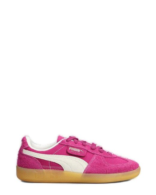 PUMA Pink Palermo Vintage Low-Top Sneakers