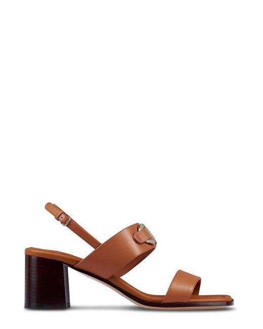 Ferragamo Brown Gancini-Buckle Square-Toe Sandals
